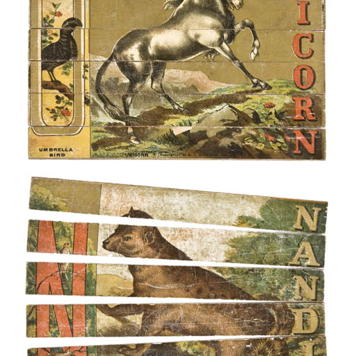 Prize animals dissected, 1883