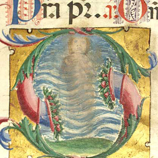 S (Salvum) con Personaggio maschile (David?) immerso nell'acqua - c. 98r