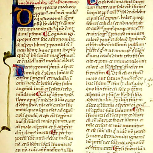 D (Dixit), D (Dixit), C (Cum) - c. 11r