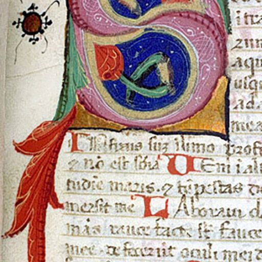 S (Salvum) - c. 41r