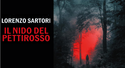 Il nido del pettirosso