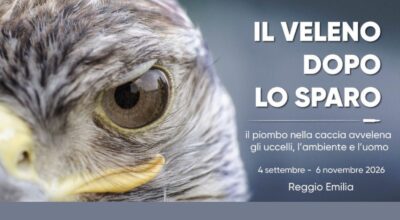 Il veleno dopo lo sparo